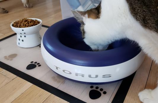 Torus water bowl outlet review