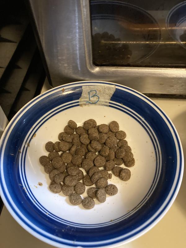 Pic of kibble, Bag of product, Bentley (lhasa apso) trying, Trixie (wire coated terrier) ate ALL / approved!!