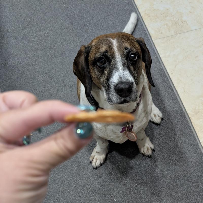 You can see they are thin but dogs loved them