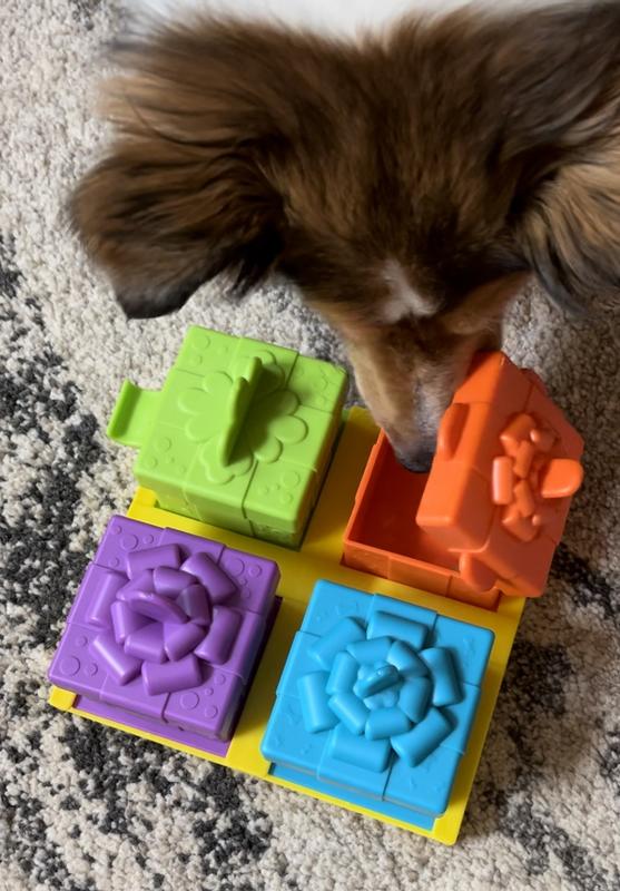 Brightkins Surprise Party Treat Puzzle Dog Toy, Interactive Jigsaw with  Dispenser for Chew & Enrichment Training 
