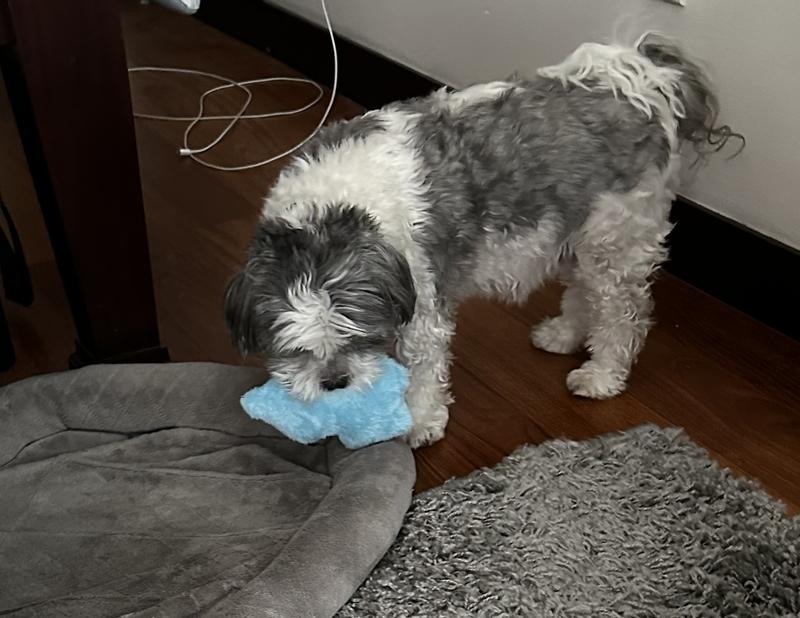 Ronnie bringing it to bed