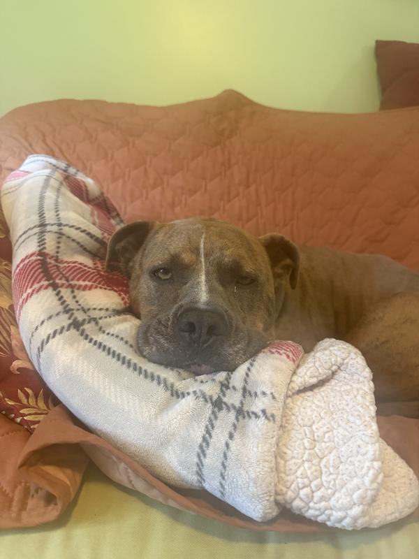 Photo for cuteness factor.