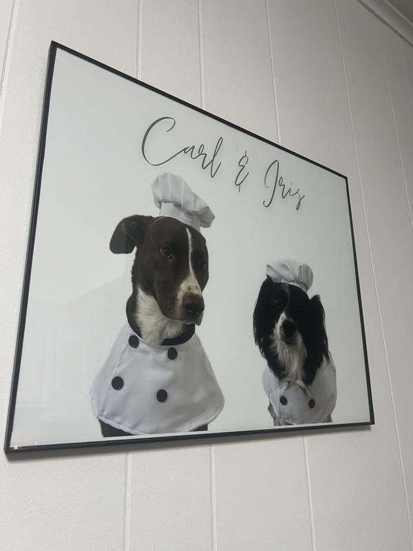 Our new artwork featuring our perfect costume from Chewy!