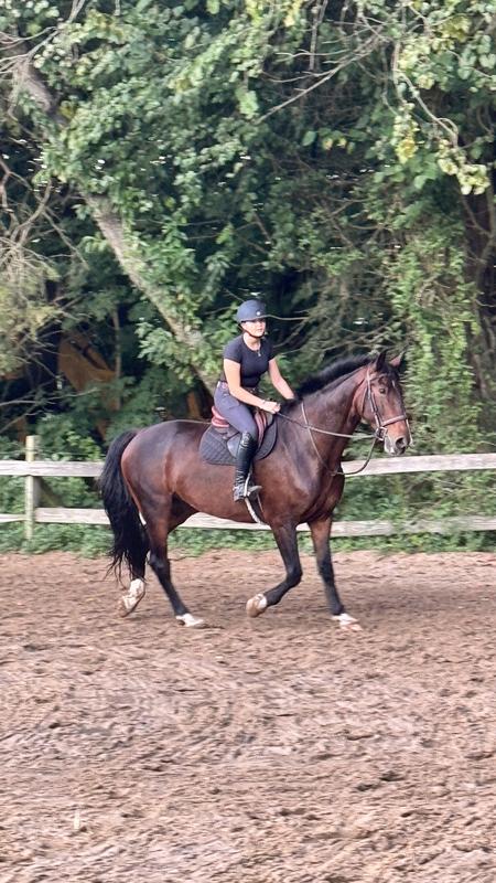 Beau trotting in hoof comfort