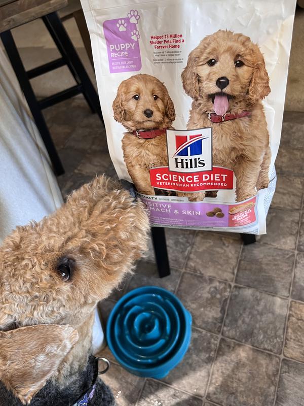 Hill's Science Diet Puppy Sensitive Stomach & Sensitive Skin Salmon & Brown Rice Recipe Dry Dog Food