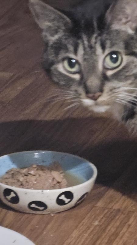 Wondering why I'm taking photos of her eating