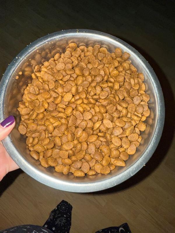 Photo was taken in my house with a lot of lighting.