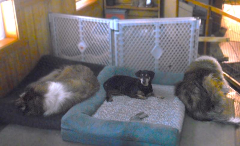 Ah, my own new bed, I love this.