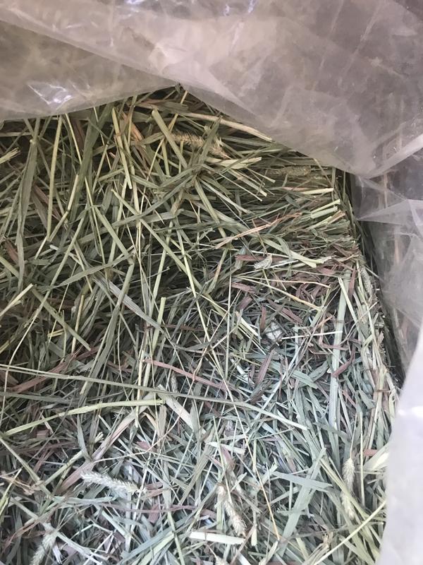 Bad crunchy old hay