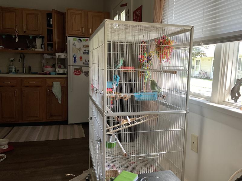 Cage is not completely finished.  It takes a while.  U have to observe your birds and see how they use their new surroundings and then decorate from there
