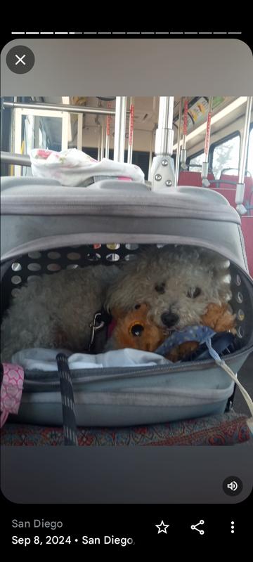 My little precious loves her house!!!!