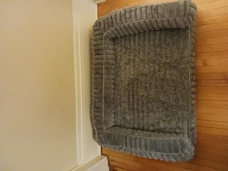 The arms on the sides of the bed create security while the dog naps