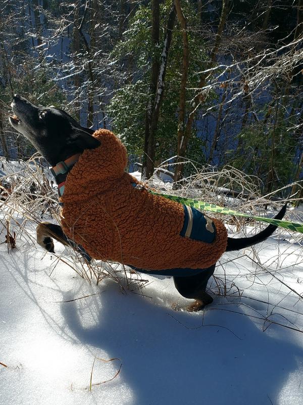 Billy staying warm in his jacket.