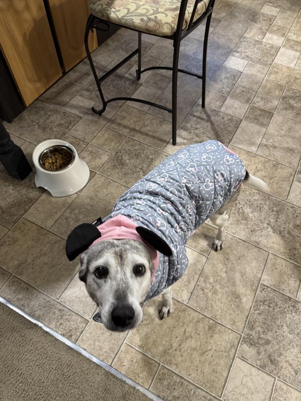 Disney Mediumweight Minnie Mouse Quilted Puffer Dog & Cat Coat