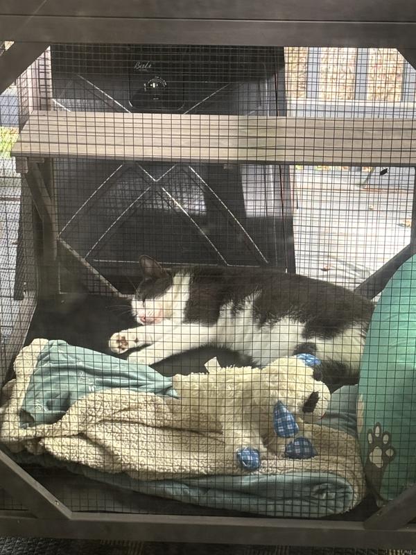 Living his best life!