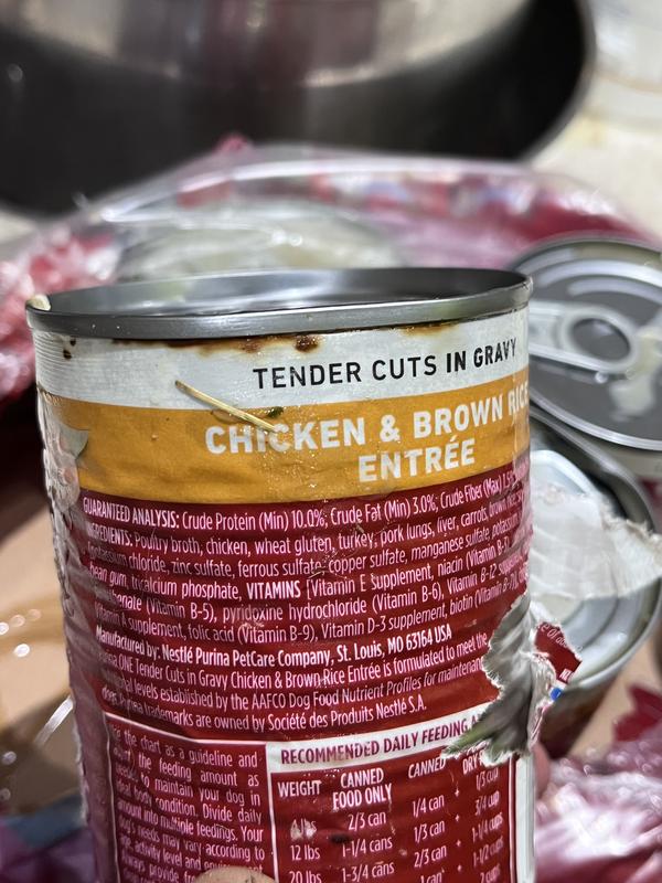RUST=broken BEFORE shipping