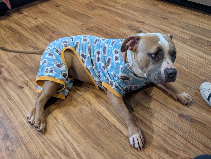 Perfect baby Milkshake