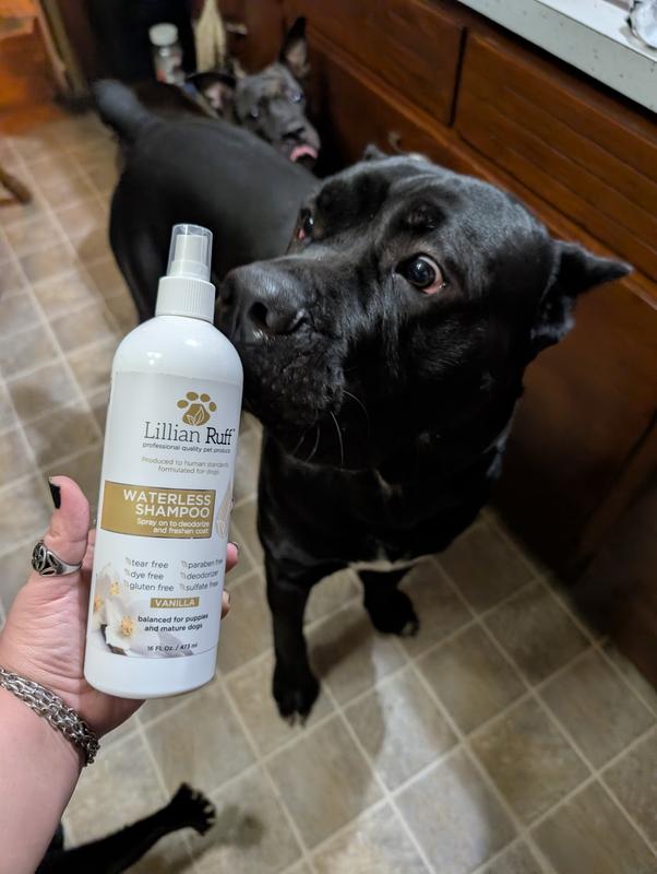 Smells good to him too