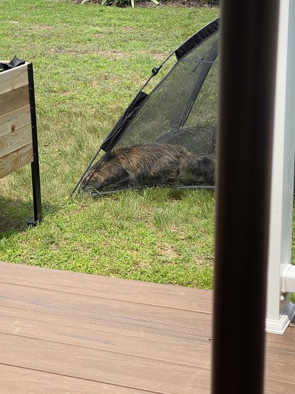 Happy habitat cat tent best sale