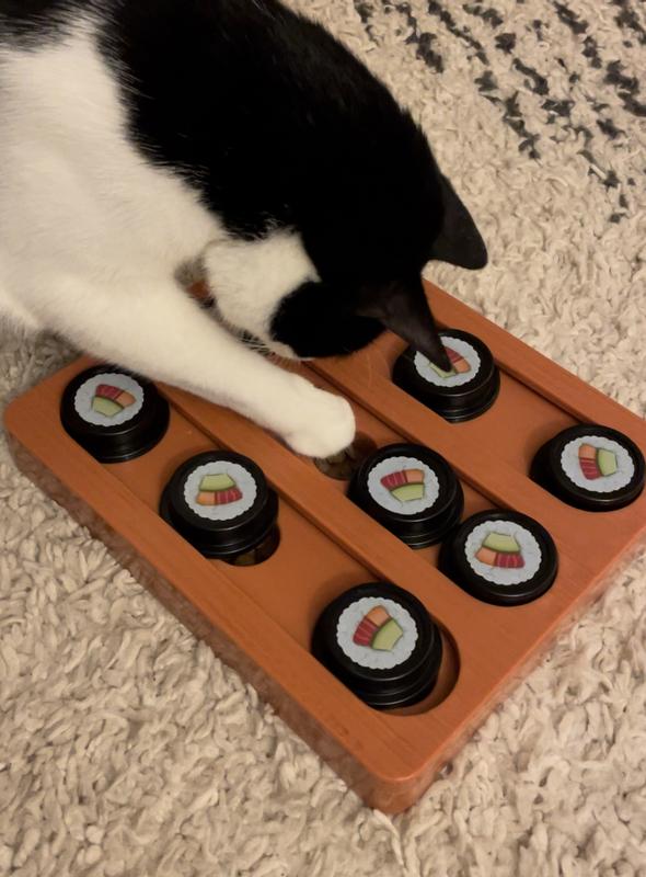 Henry, opening the sushi puzzle for treats