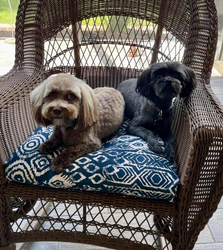 PETAMI Bike Basket Bag Dog Cat Carrier, Teal Blue