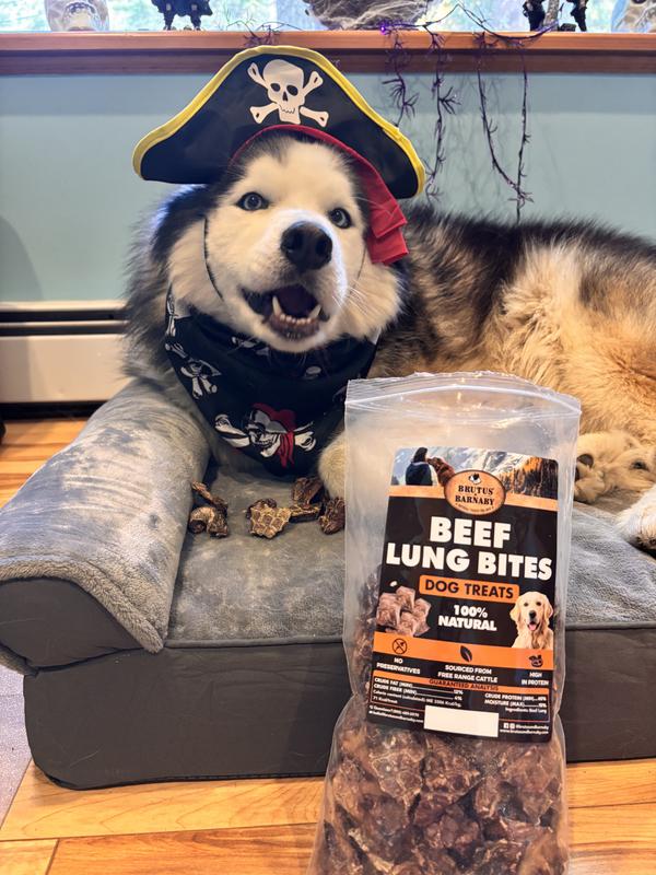 Smiling with his treasure