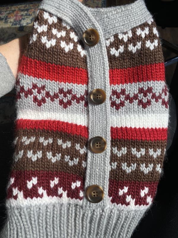 FRISCO Chunky Knit Multi Stripe Dog & Cat Sweater with Polar Fleece Lining, X-Large - Chewy.com
