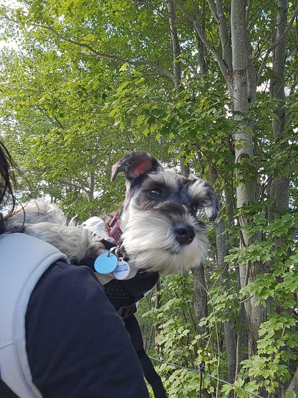 On vacation in Acadia National Park