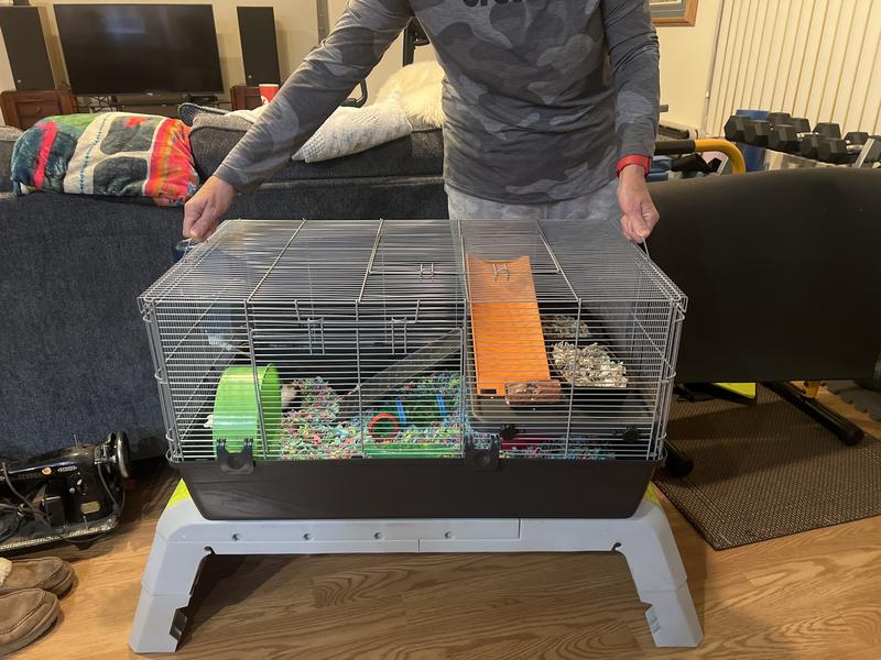 Chewy hamster outlet cage