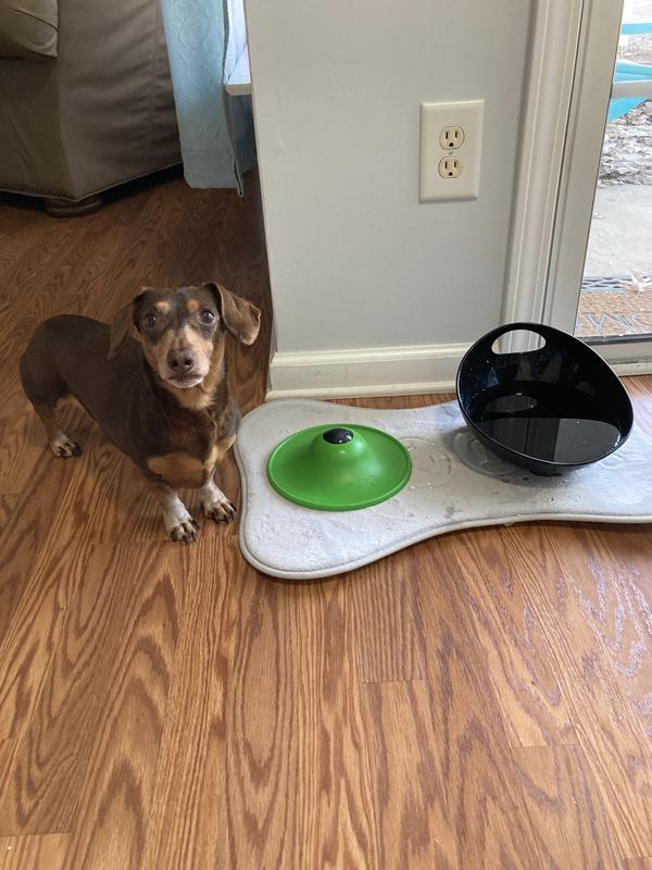 STASHIOS Soothing Saucer Calming Kit, 13.3oz box