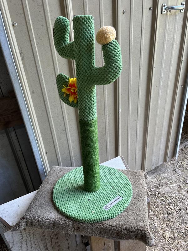 Lovely Caves 23.6-in Cactus Cat Scratching Post. Green, Large