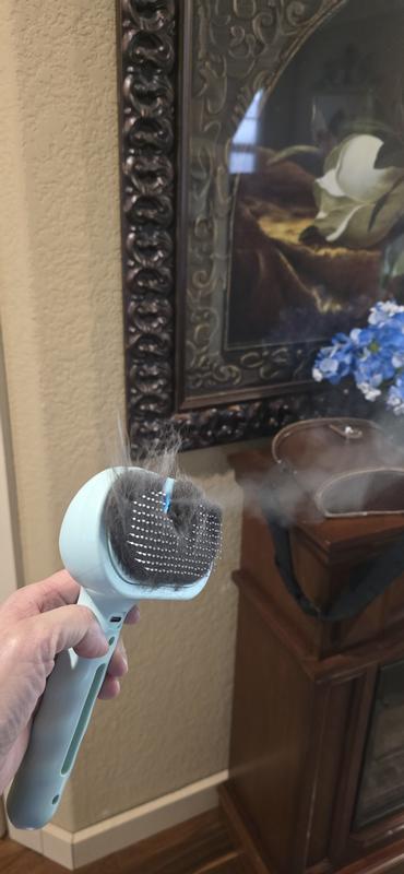 I like the steam because it's not too much, and not too little.