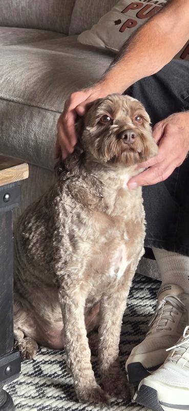 She loves getting spoiled.