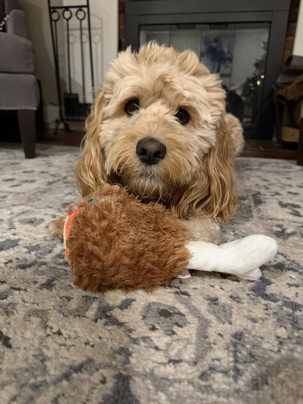 Bowie’s  Favorite Toy