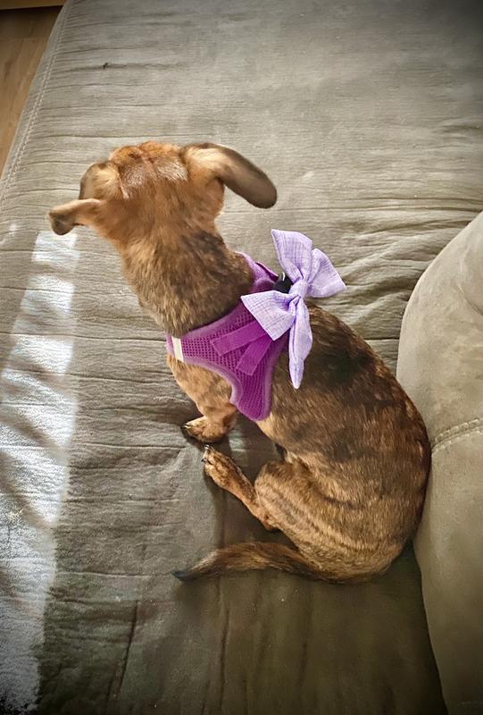 My favorite new accessory!