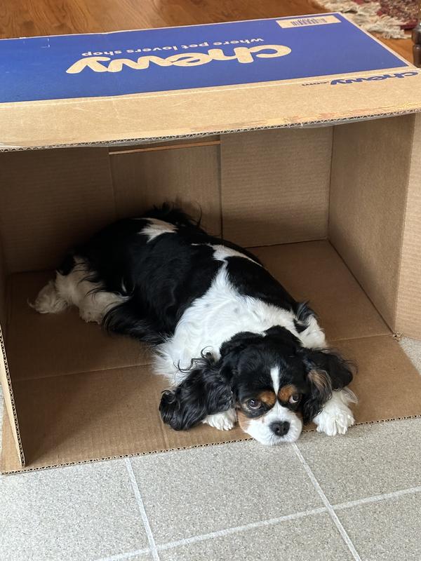 NANDOG Quilted MicroPlush Dog Car Seat Bed, Light Gray, Small