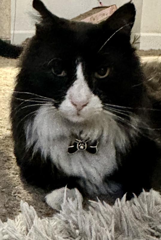 Perfect size & lightweight