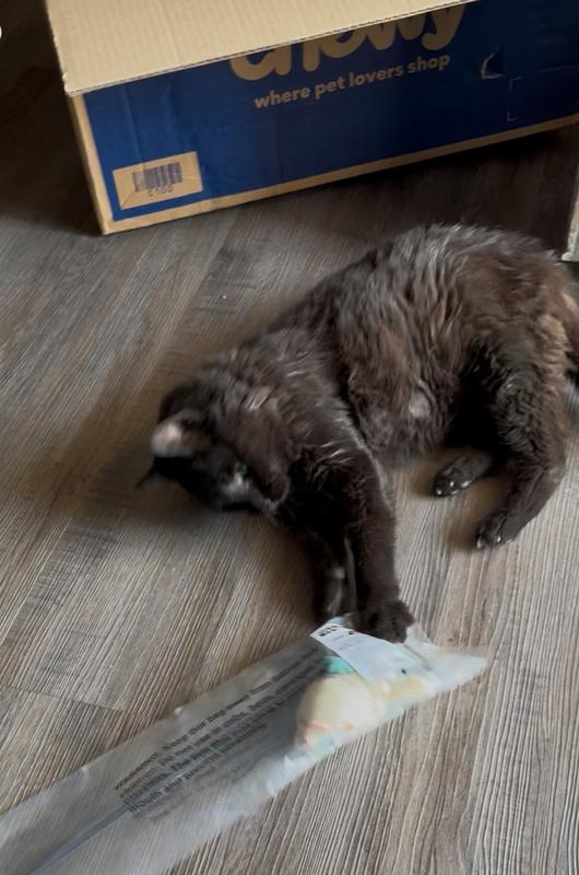 This makes our cat so happy, & us too watching him!