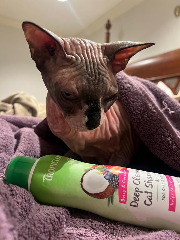 Still wet from his bath 😊