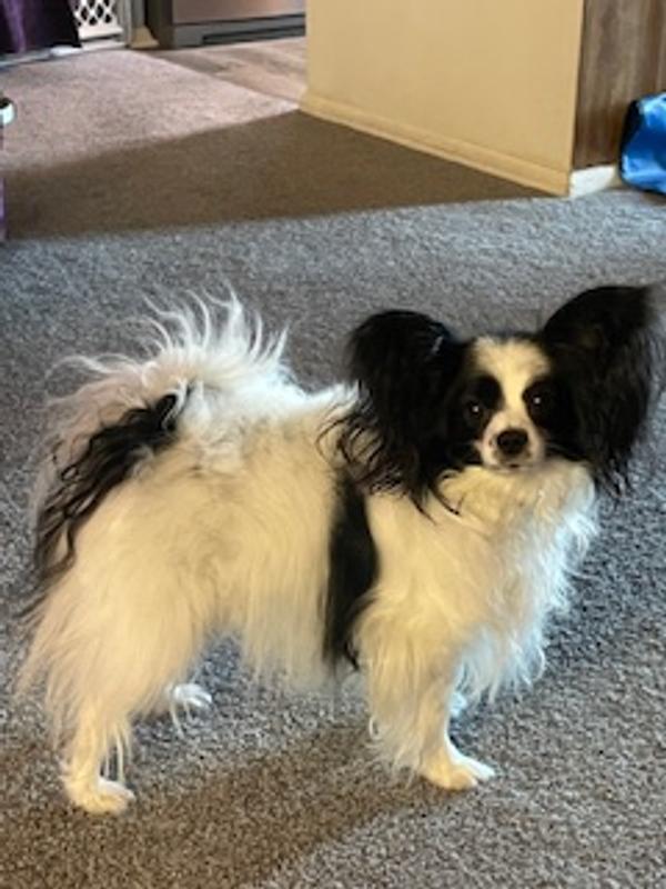 After -- the static is gone