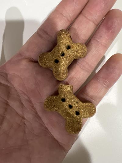 Health Extension Oven Baked Salmon Recipe with Kale Dog Treats