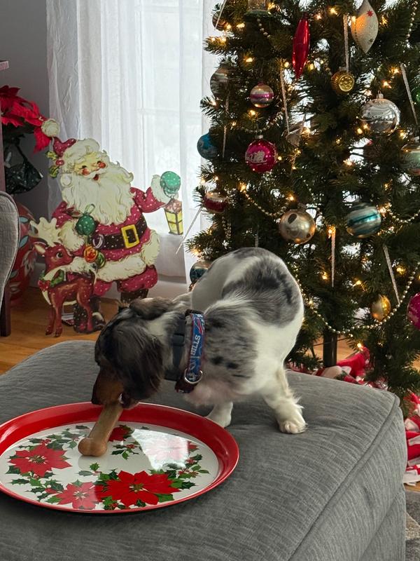 This deserves a special platter!