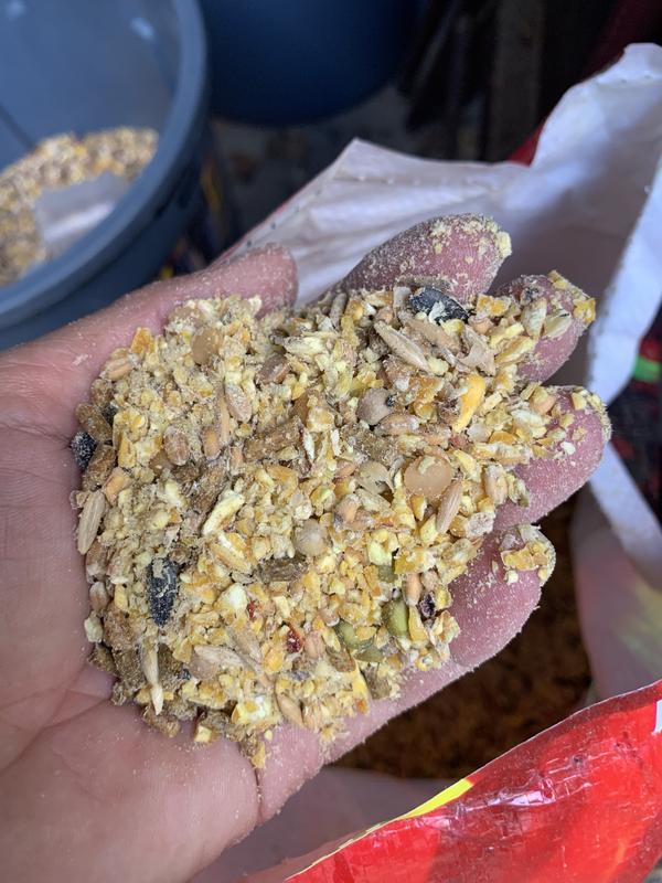 Not expecting this…