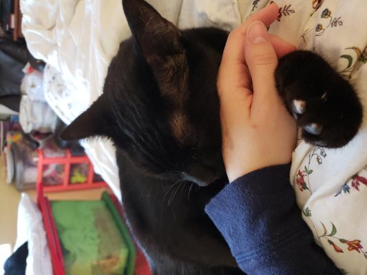 Always giving love and cuddles