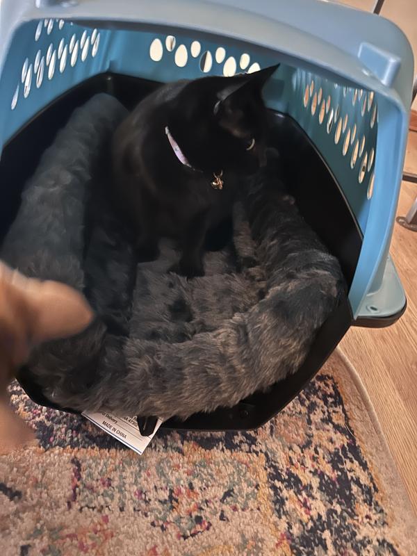 Freddie loves hers too!