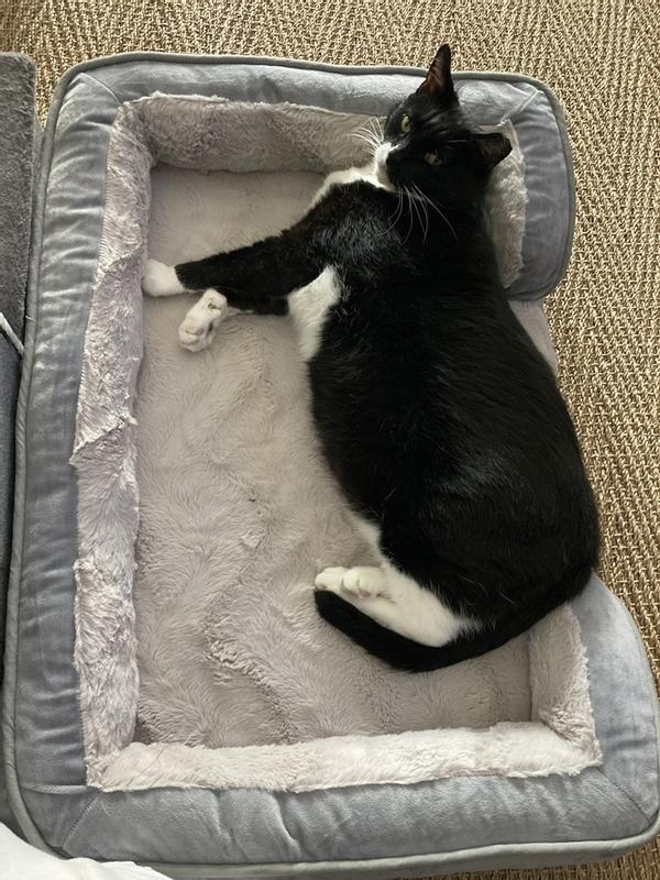 FurHaven Velvet Waves Perfect Comfort Orthopedic Sofa Cat & Dog Bed