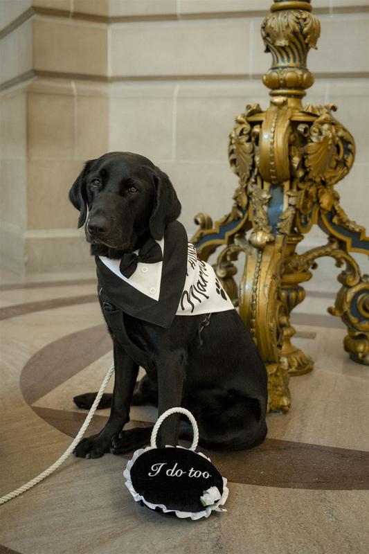 Our dog Denny @Thefailedservicedog