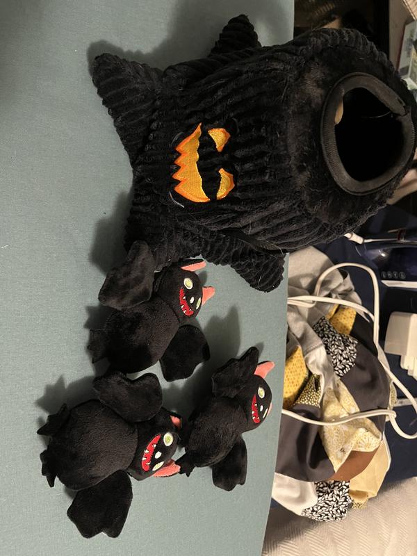 The little bats are adorable, the dogs just didn’t care.