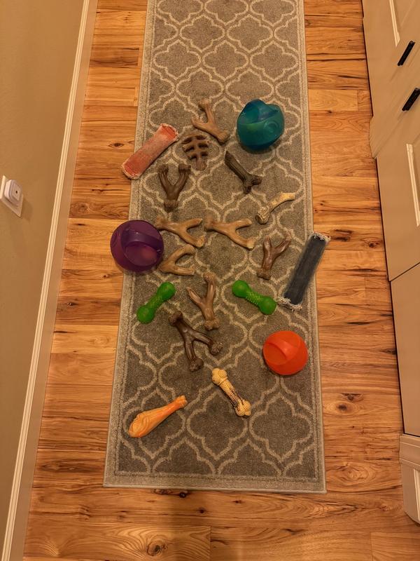 Benebone Bacon Flavor Wishbone Tough Dog Chew Toy