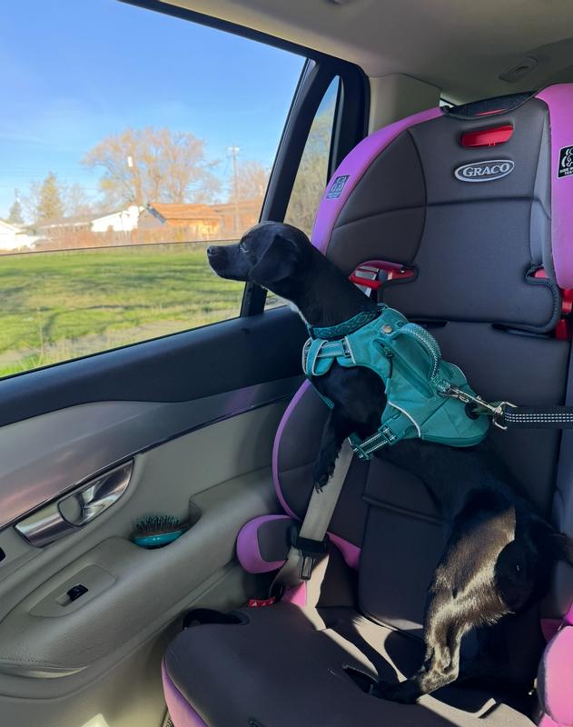 Using the back clip with a bungee tether as a car restraint. (SlowTon)